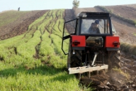 Agricultorii pot depune de astăzi, cererile de plată pentru subvenţiile pe suprafaţă