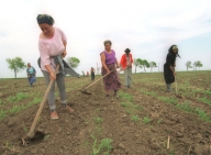 Avem cea mai slabă agricultură din UE