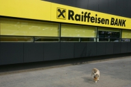 Profitul Raiffeisen Bank a scăzut cu 75% în 2009
