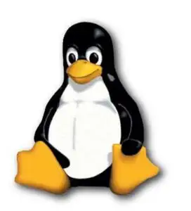 Producătorii de computere încep să înlocuiască Windows-ul cu Linux
