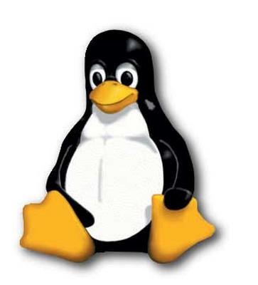 Producătorii de computere încep să înlocuiască Windows-ul cu Linux