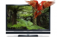DisplaySearch: 3,4 milioane de televizoare 3D vor fi livrate anul acesta
