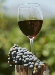 Producătorii români de vin testează piața vinicolă din SUA
