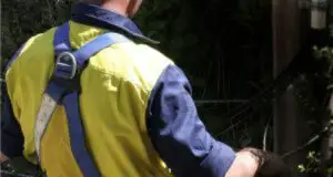 România va deveni extrem de atractivă pentru imigranţi