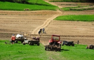 Romstrade vrea să dubleze suprafaţa fermei „La Moşie” până la 200 hectare