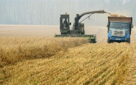 Rusia va folosi jumătate din rezerva de cereale a statului pentru a asigura necesarul de consum