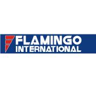 Flamingo International se va orienta în urmatoarea perioadă spre dezvoltarea serviciilor