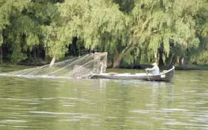 Turoperatorii vor trasee dedicate în Delta Dunării pentru caiace şi canoe