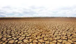 Despăgubiri simbolice pentru agricultorii afectați de secetă