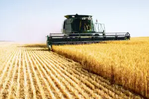 În agricultura românească mai cred doar străinii
