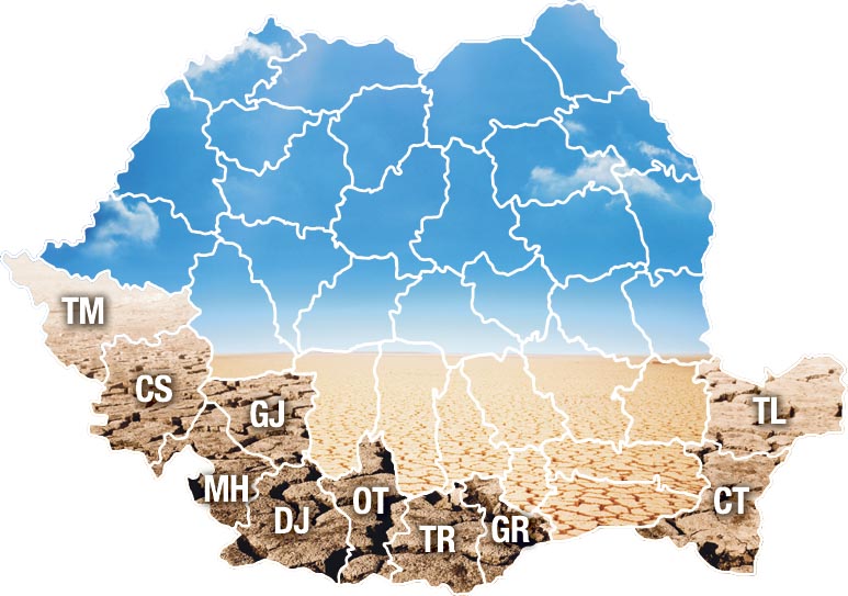 Pământul se usucă, grânele se înjumătăţesc