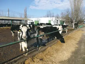 Ce are de pierdut România din noua Politică Agricolă Comună