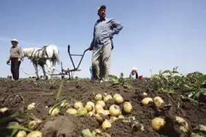 Viața la țară, între Evul Mediu și mileniul III