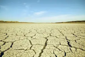 Seceta ne arde buzunarele şi usucă PIB-ul