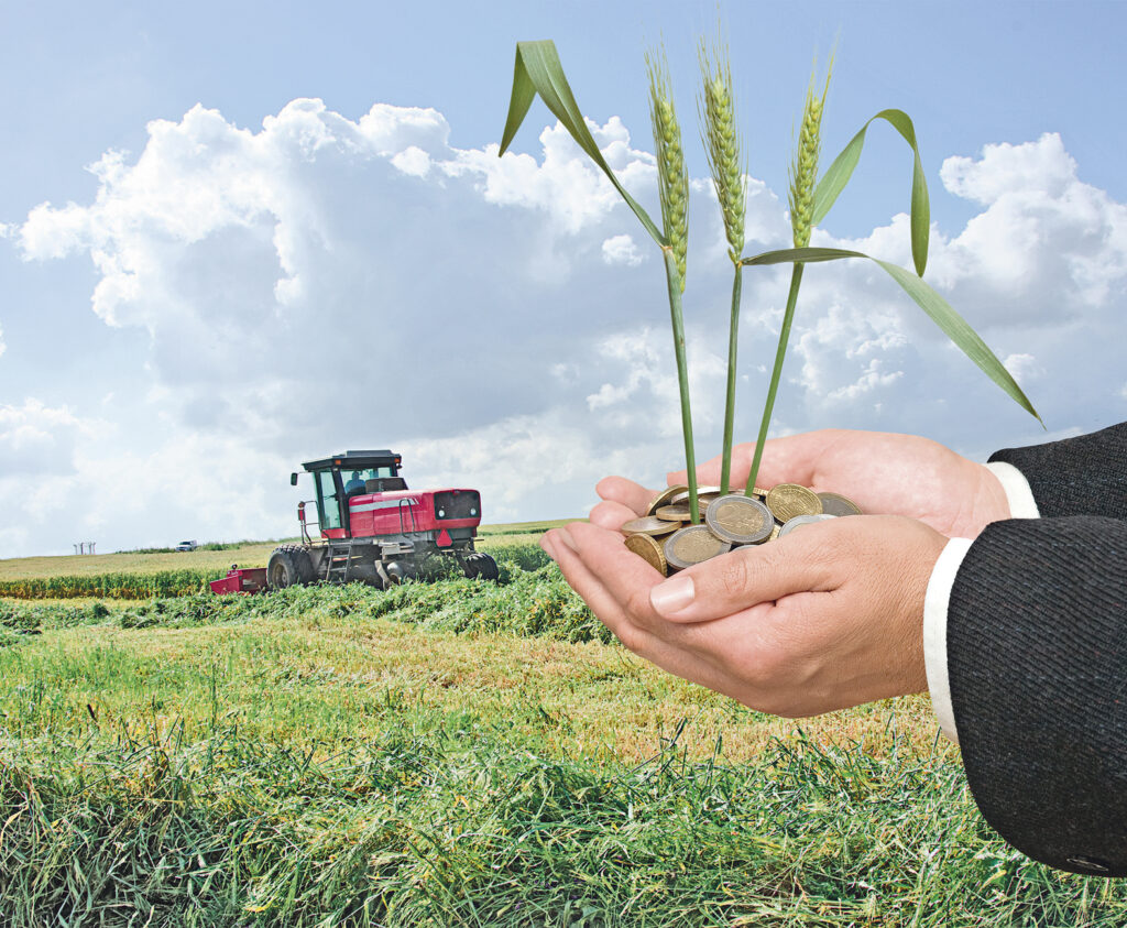 BILANȚ: 2012 – un an agricol prost, dar cu cele mai mari subvenții din ultimii 23 de ani