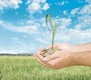 Tabără e optimist, dar cenușăreasa economiei rămâne desculță