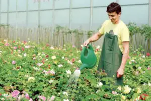 Peste 874 de milioane de euro au intrat în contul fermierilor, până la finele lunii iunie