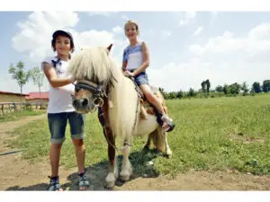 Cum a rezistat ultimul mohican agricol din jurul Capitalei