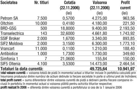 Profitul portofoliului virtual capital