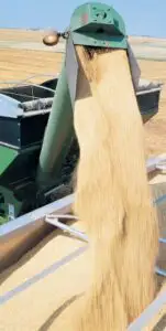 Primii zece agricultori ai ţării au cerut subvenţii de circa 19 milioane de euro