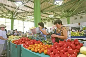 Finanțele râvnesc la roadele micilor producători agricoli