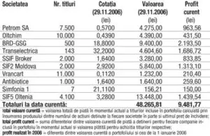Profitul portofoliului virtual capital
