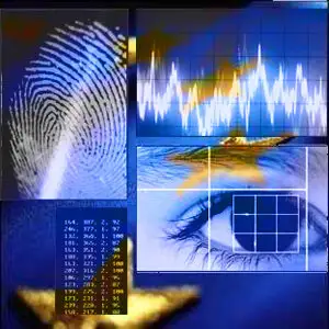 Baza de date a Poliției Române, conectată cu UE