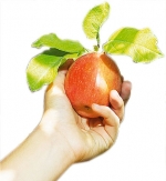 UE oferă României zece milioane de euro pentru distribuirea de fructe în şcoli