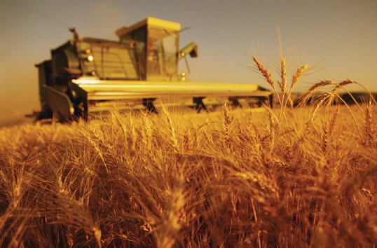 Ce subvenţii vor primi agricultorii în 2014