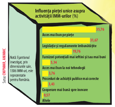 Influenţa pieţei unice asupra activităţii IMM-urilor