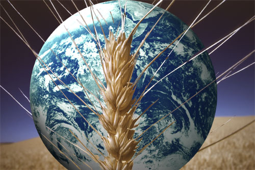 Banca Mondială avertizează asupra crizei alimentare globale