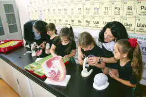 Clasa pregătitoare, mină de aur pentru businessul şcolilor private