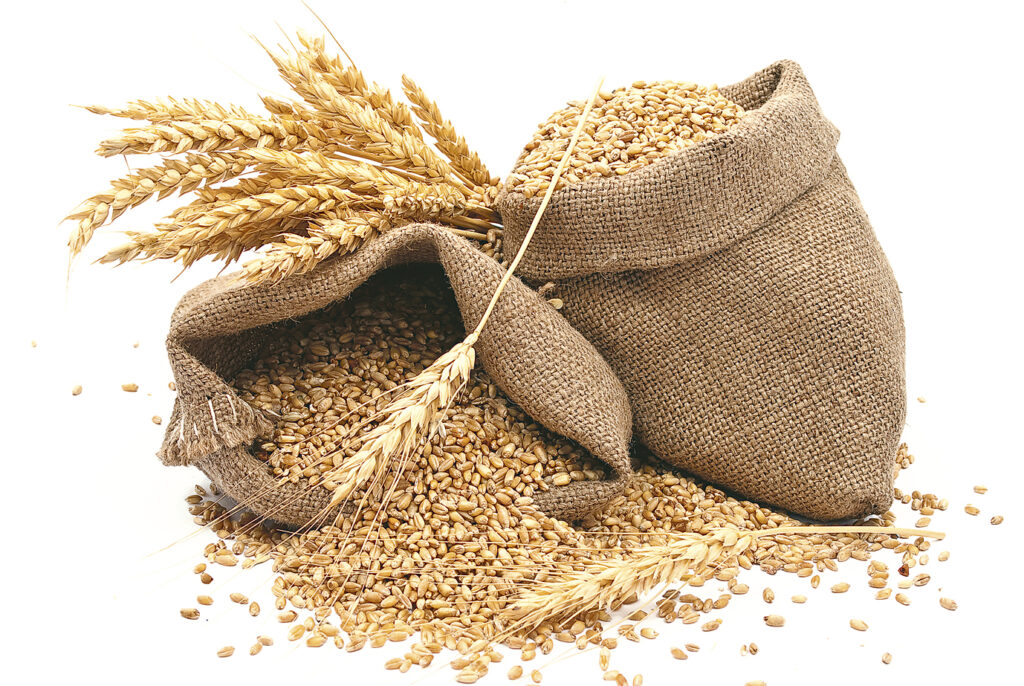Ringul produselor agricole, primul pas spre Bursa Cerealelor