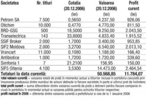 Profitul portofoliului virtual capital