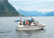Fir întins din fiordurile Norvegiei până în Caraibe sau Patagonia