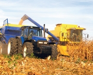 Doar 0,2% din investiţiile străine merg în agricultură