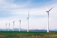 Producătorii de energie eoliană: Noi am investit, dar nu bate vântul