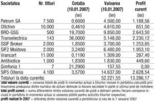 Profitul portofoliului virtual capital în 2007