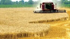 Arendaşul străin cu cea mai mare datorie. Guvernul ţine la secret lista străinilor ce folosesc pământul ţării