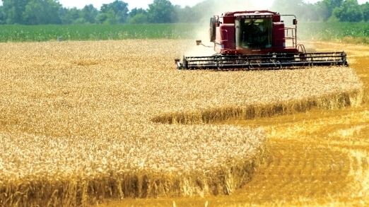 Ce subvenţii va acorda Agenţia de Plăţi şi Intervenţie pentru Agricultură în acest an pentru suprafeţe