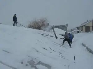 Pagube agricole din cauza gerului