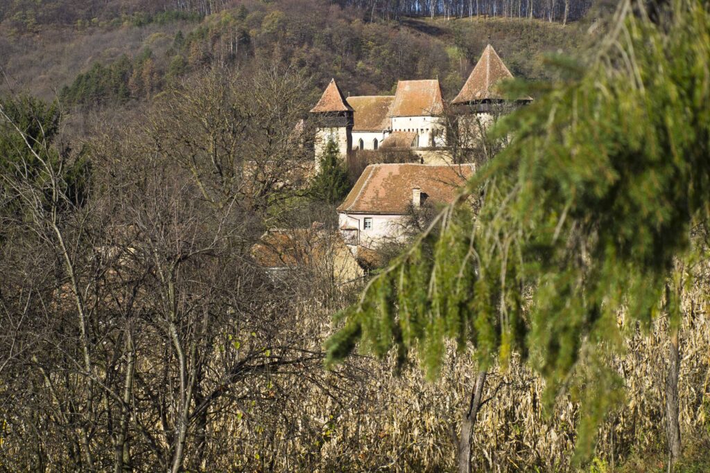 Alma Vii. Un loc minunat in care nu veti ajunge vreodata…