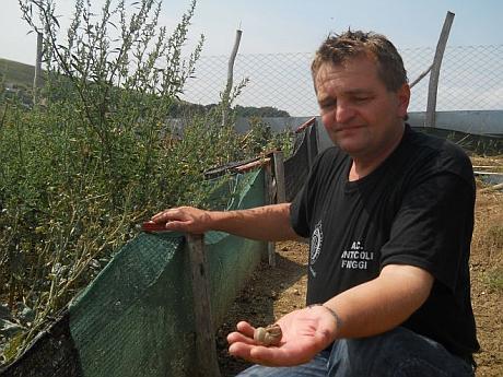 Povestea singurei ferme de melci din Mureș: ”Profitul nu se face așa de ușor cum se arată în reportajele de la televizor”