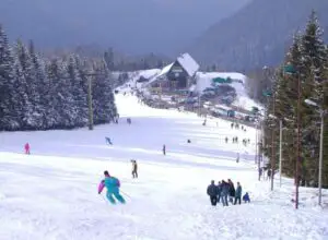 Turiştii au ocupat aproape în totalitate staţiunea Păltiniş
