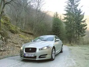 Îmblânzirea Jaguarului