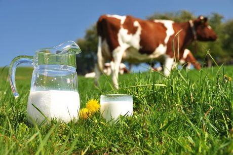 Cererea globală de lapte va creşte cu 36% în următorul deceniu