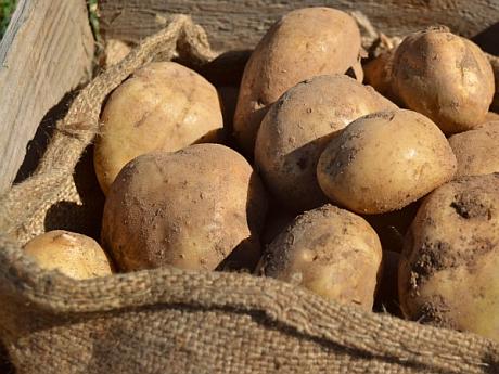 Cartofii s-au ieftinit cu peste 37% de la începutul anului