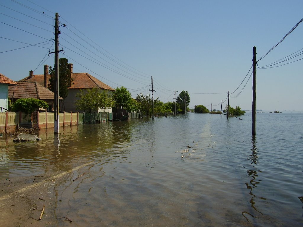 Avertizări de coduri roşu şi portocaliu de inundaţii