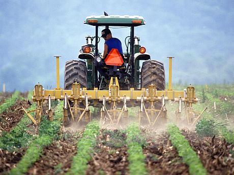 Subvenţii mai mari pentru fermierii care vor lucra suprafaţe între 5 şi 30 de hectare