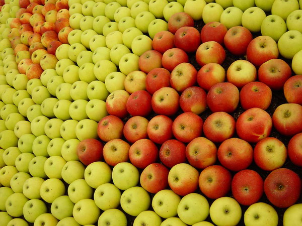 Constantin: România susţine mărirea contingentului de mere şi alte produse agricole provenite din Republica Moldova